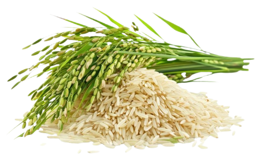 product-rice-clipart