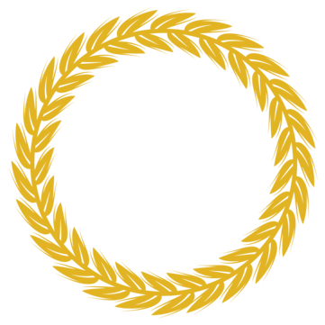 PADDY-VECTOR.png